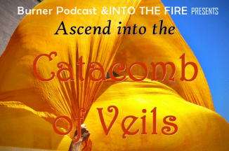 28753126032_9daeaf6a88_o