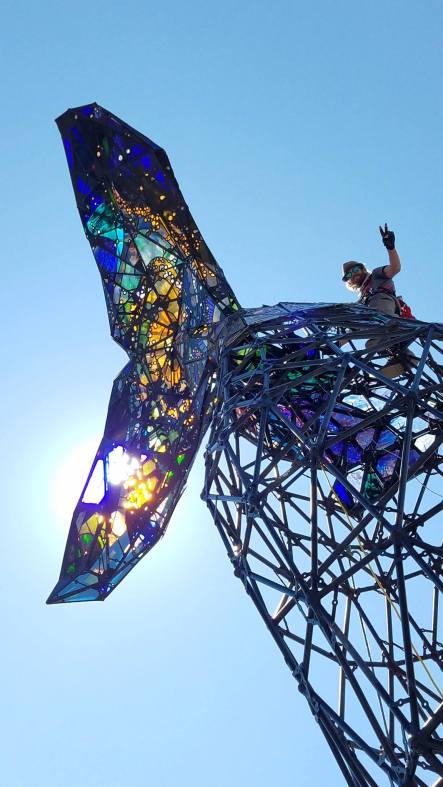 20626312_10155591450202953_6573293953860844469_o (1)