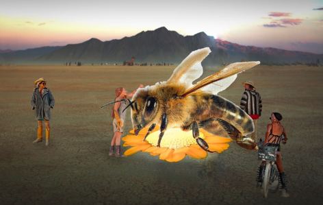 to be or not to be screen capture (1)